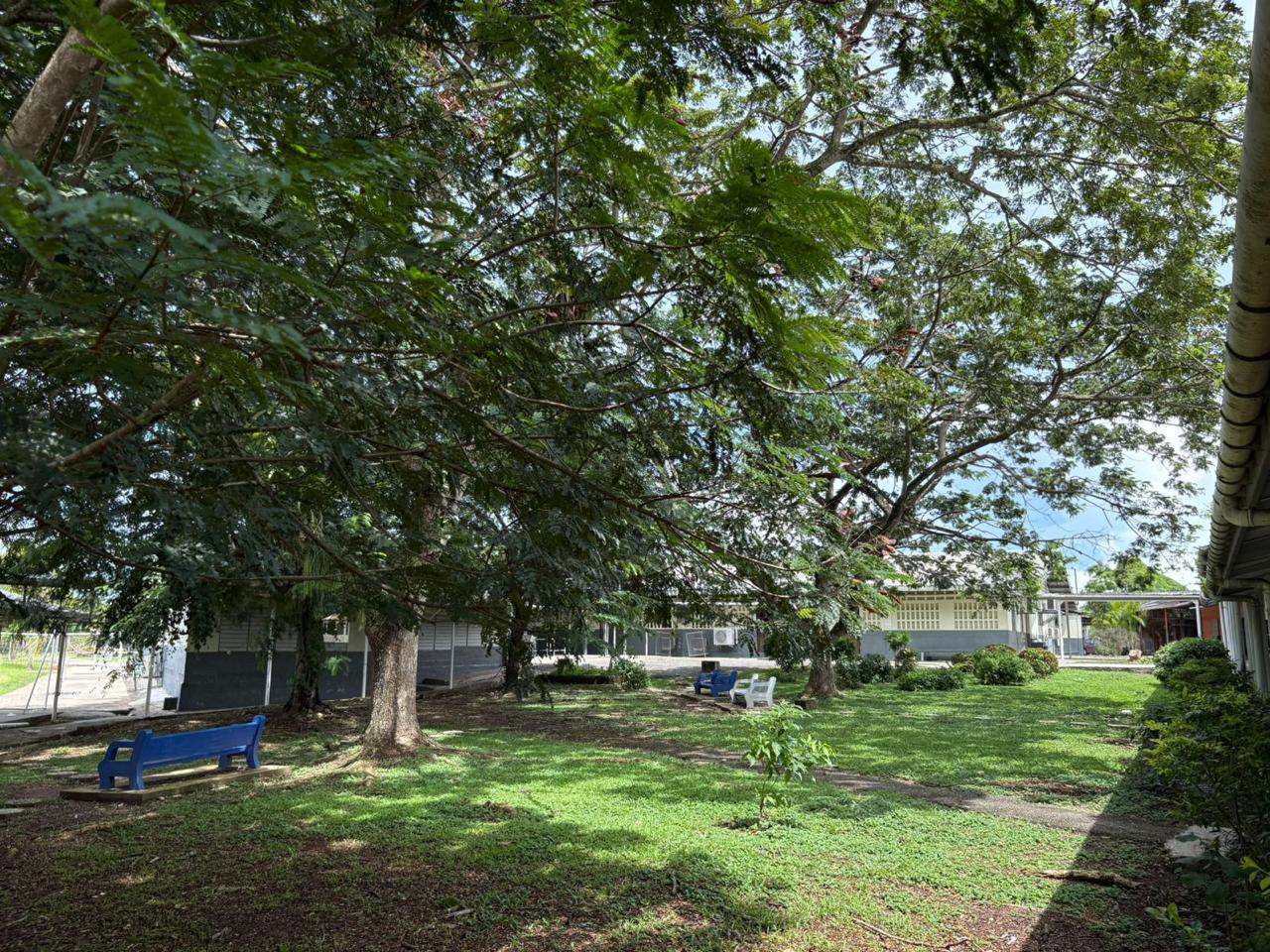 SBHC Image 6